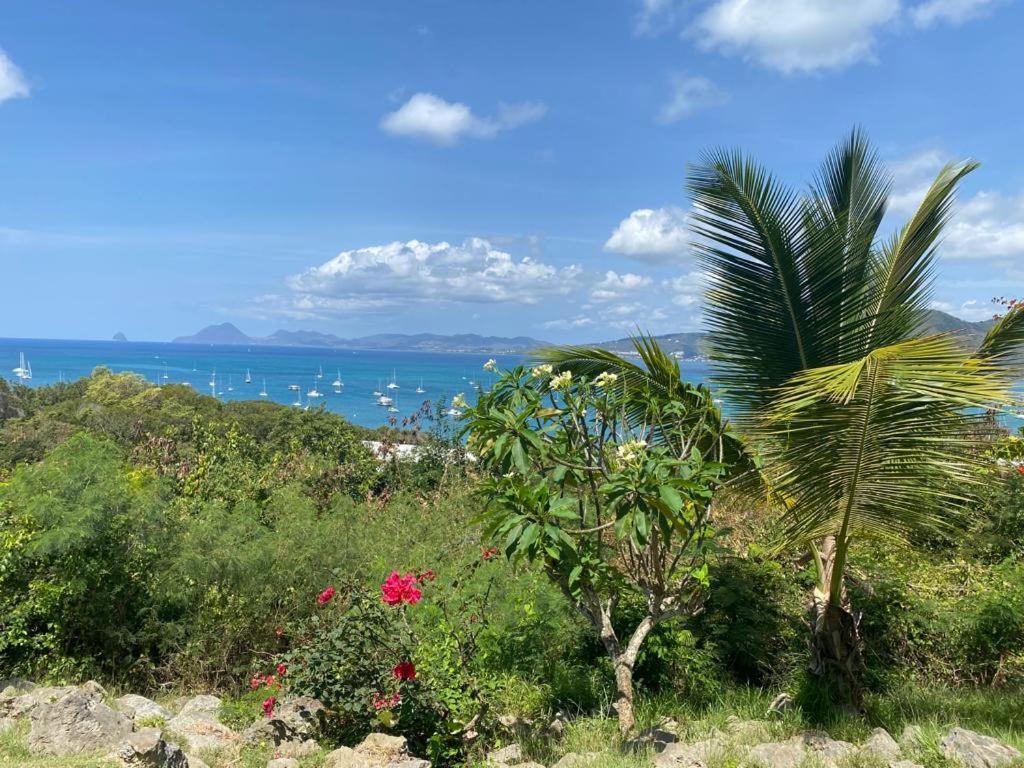 Superbe Appartement Vue Sur Mer Sainte-Anne Esterno foto